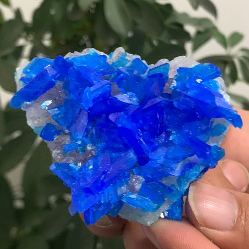 99G Natural blue copper sulfate mineral specimen healing - 第 6/14 張圖片