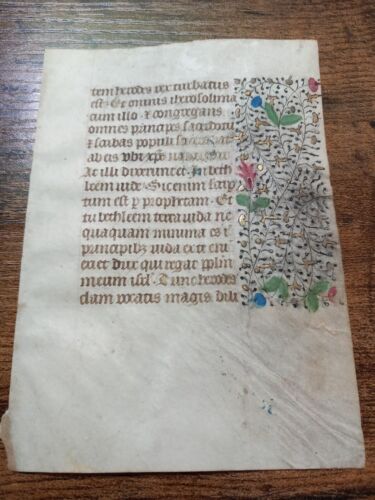 RARE ORIG VELLUM LEAF FLORAL BORDERS WITH GOLD MANUSCRIPT LATIN ABOUT 1490 AD - Picture 4 of 4