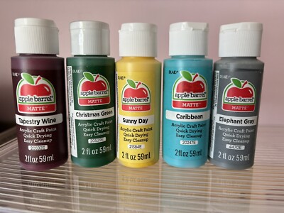 Apple Barrel Acrylic Assorted Colors Paint Set, 2 oz - 6 Pieces