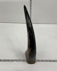 Carved Buffalo Horn W/Design — photo 2