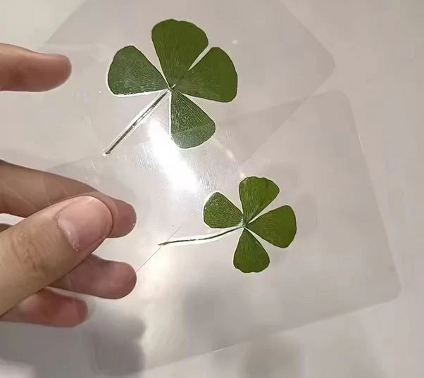 Marcador de regalo de 4 hojas de hierba Marsileac (trébol de agua) mejor deseo buena suerte Foto 3 de 4