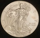 2012 American Silver Eagle Uncirculated- 1 oz .999 Silver Dollar #7021.81-B