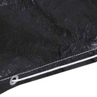 Bild 154 von 374