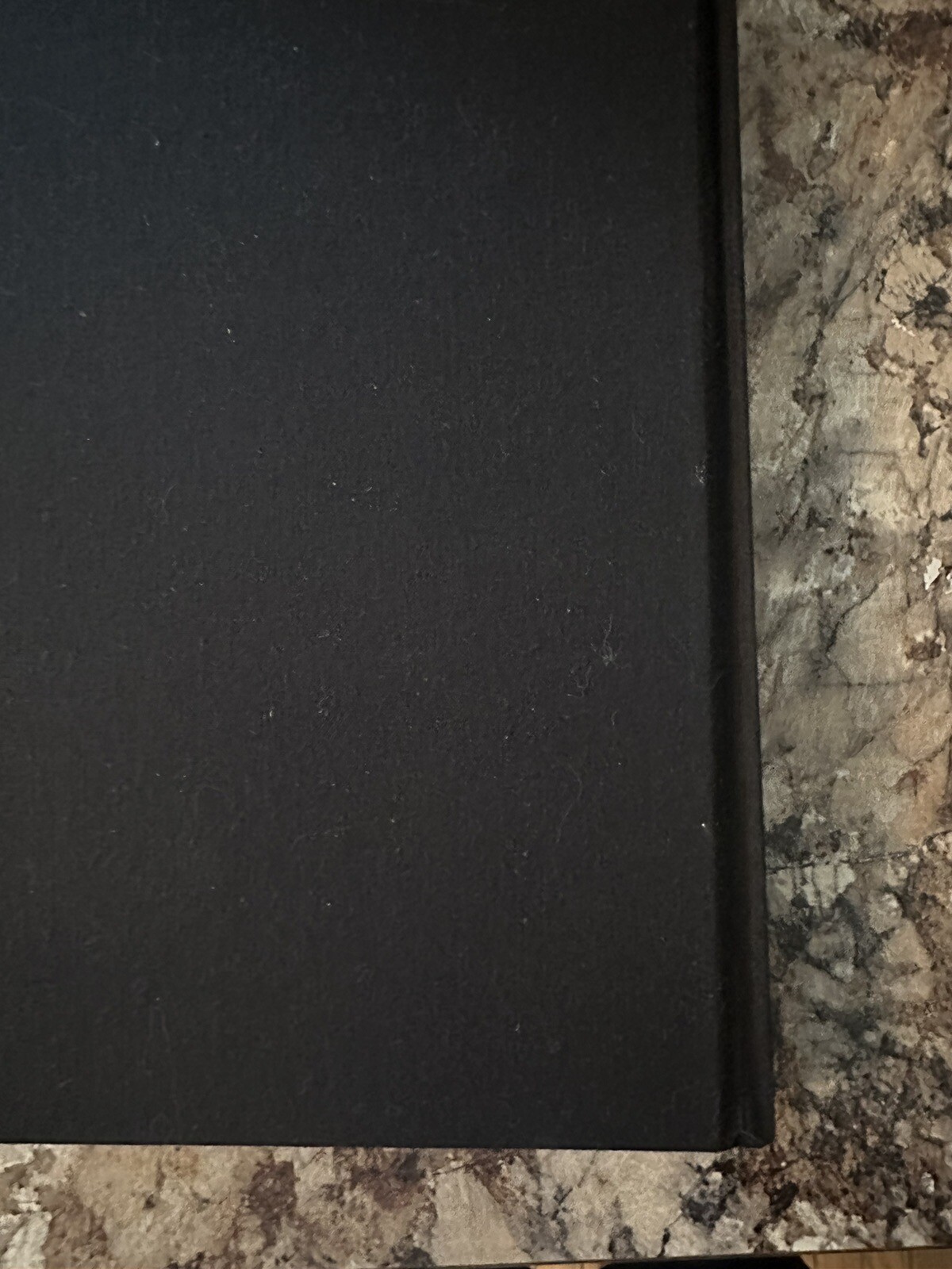 The Pinkerton Diaries by Rivers Cuomo Book Sold Out First Press 2438/