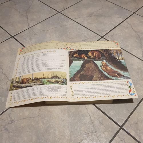 Tutte le fiabe F.lli fabbri editore lotto 62 copertine - vendita singola o lotto - Foto 3 di 3