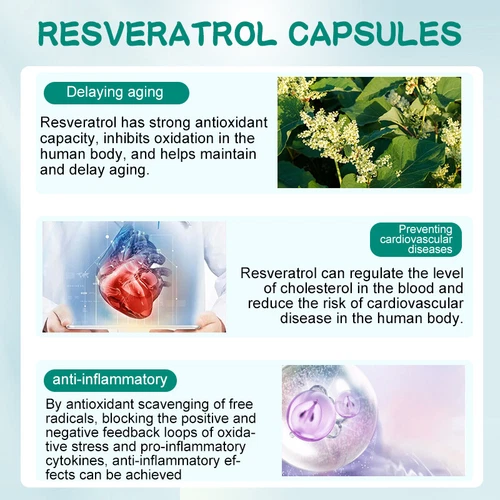 Resveratrol Fuerza Máxima 1200MG Anti-Envejecimiento Antioxidante No-OGM 120 Cápsulas - Imagen 3 de 8