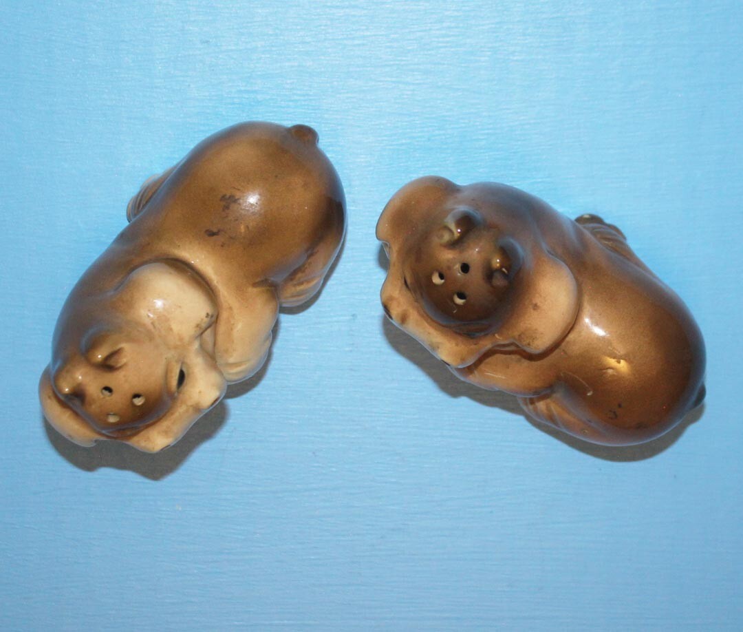 Hippopotamus Salt & Pepper Shaker Set * Hand Painted * Ceramic Hippo