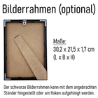 Bild 6 von 9