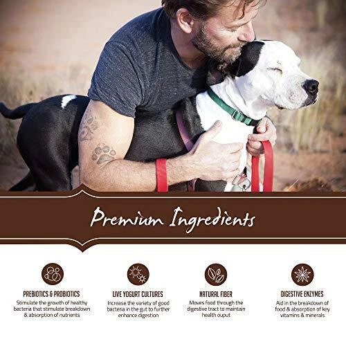 Holistic Select Natural Grain Free Dry Dog Food Rabbit Lamb