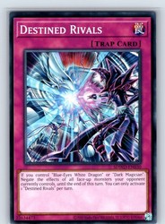 Blue-Eyes White Destiny SDWD-EN030 Destined Rivals Common