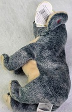 Ty Beanie Baby - EUCALYPTUS the Koala Bear (6 Inch) NEW  Clean and MInt