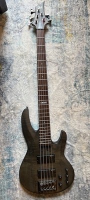 ESP LTD B-205sm 5- String Spalted Maple See Thru Black Satin Electric Bass