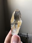 Picture 5 of 12