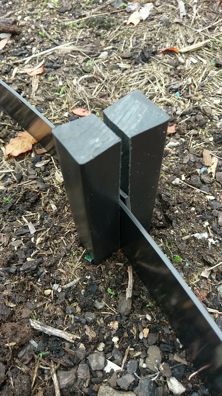 Picture 10 of 12