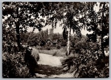 Schmannewitz DDR RPPC Forest Path to Teich House East Germany c1970s Real Photo
