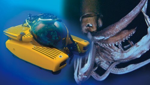1/48 Deep Sea Explorer Series No.1 Submersible Triton Plastic Model - Picture 2 of 4