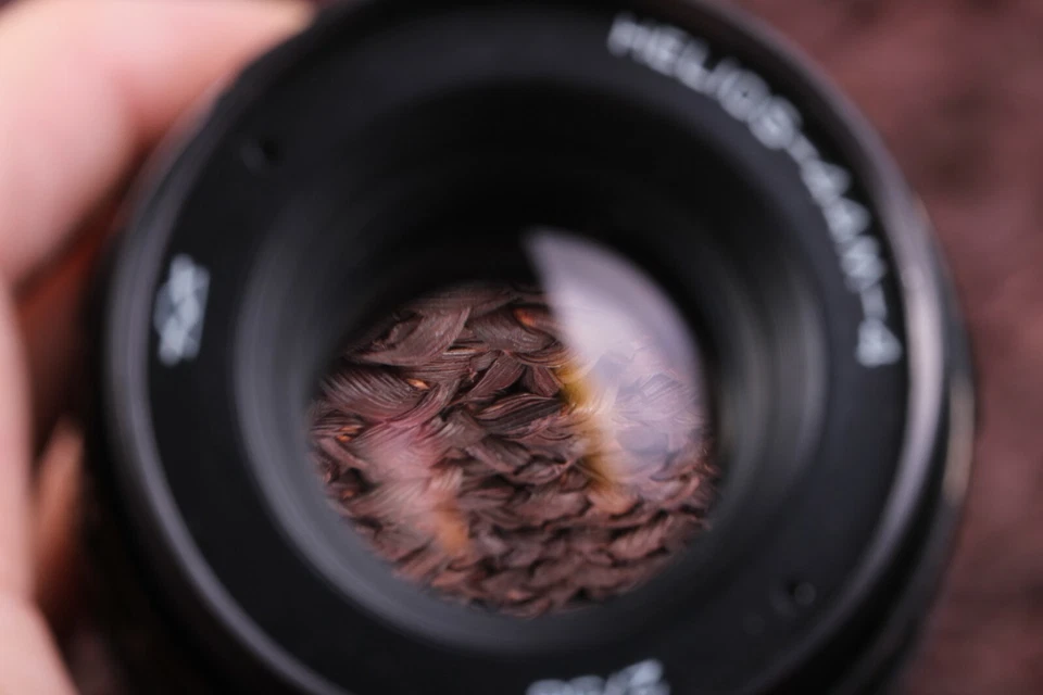 HELIOS 44m-4 2/58mm Soviet lens Bokeh Portrait Lens USSR  mount M42 + Sony E Nex - Image 4 of 4