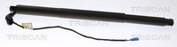 Triscan 8710 11312 Gasfeder, Koffer-/Laderaum FüR BMW