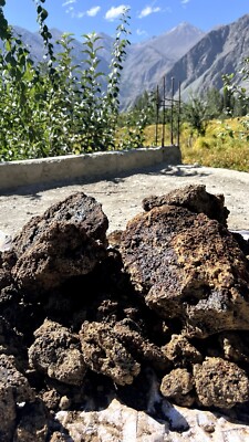 Shilajit (reine Premium Qualität) persönlich bezogen aus Pakistan 