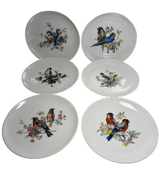 6 Vintage Hand Painted Bird & Floral Porcelain 7 3/4Wall Plates Kaiser W Germany