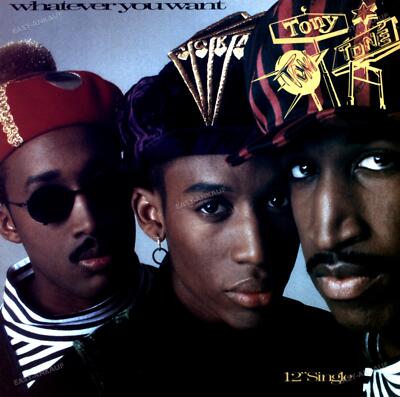 Tony! Toni! Toné! - Whatever You Want Maxi (VG/VG) .