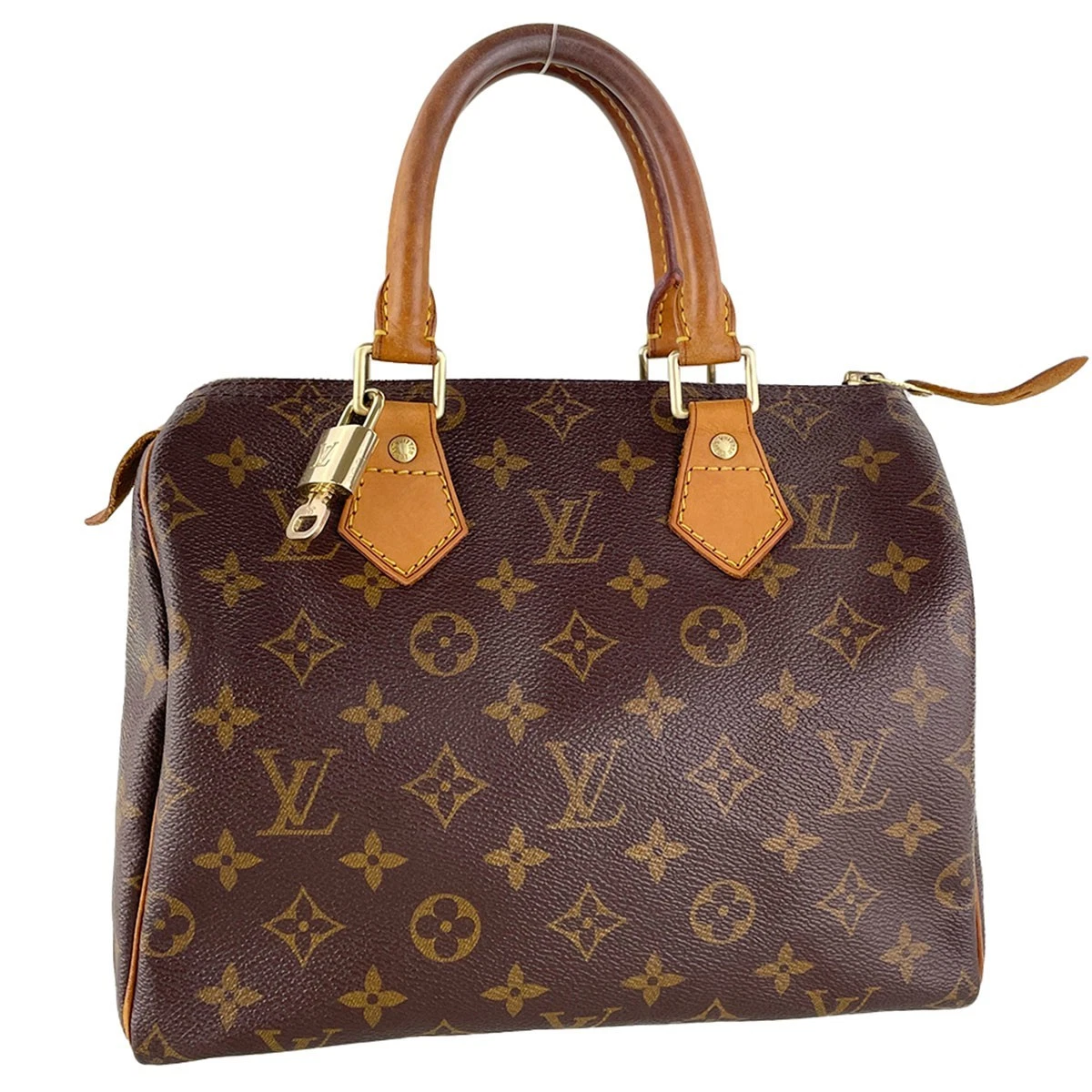 Louis Vuitton Speedy 25 | eBay
