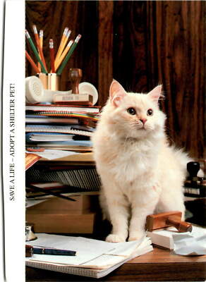 North Shore Animal League, Port Washington, NY, abandoned dogs