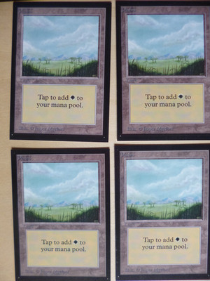 NUR =EIN=  Magic MtG International Edition Plains