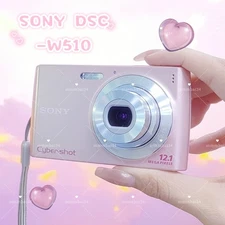 Sony Cyber-Shot DSC-W510 12.1MP 4x Optical Zoom Digital Camera Pink English