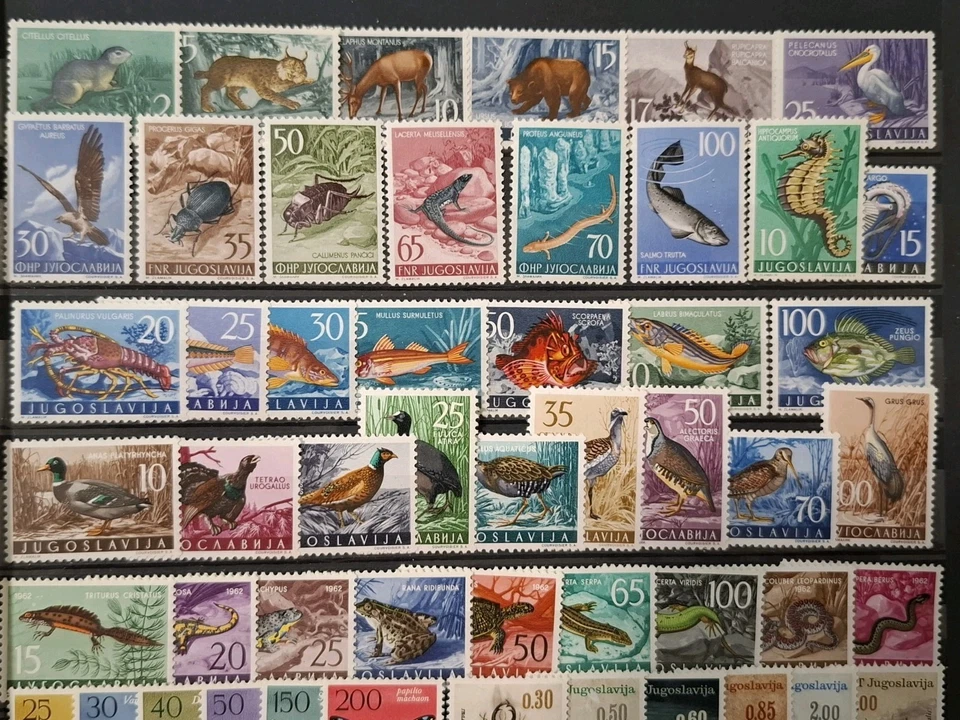 YUGOSLAVIA Fauna Peces Aves Insectos 1954-1956-1958...1997 ** 11 MNH Juegos c... - Imagen 2 de 4