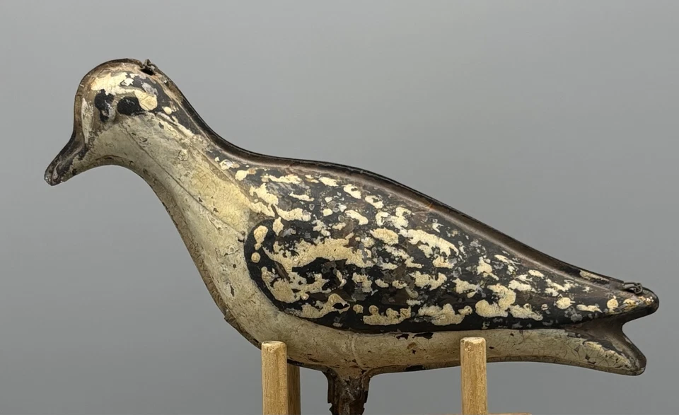 CA 1874 STRATER AND SOHIER PLOVER TINNIE 复古 SHOREBIRD 装饰 — 第 2/4 张图片