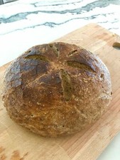 Gluten Free SOURDOUGH STARTER yeast San Franc...