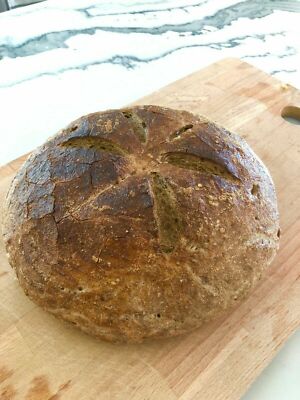 Glutenfreie SAUERTEIG STARTER Hefe San Francisco SAMMY BONZ