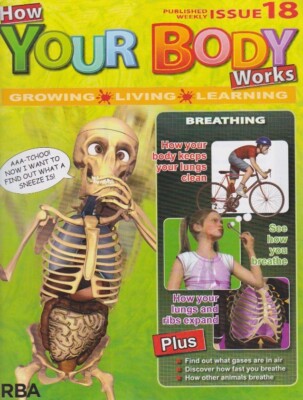 How your body works-issue 18-BREATHING.