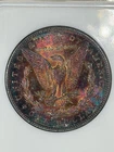1881S Morgan dollar NGC MS64 Monster obverse toning