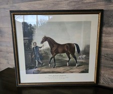 Darley Arabian Horse Framed Print After John Wootton Equestrian Thoroughbred Art