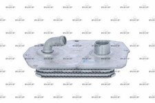 NRF Ölkühler, Motoröl 31352 für MERCEDES-BENZ SSANGYONG