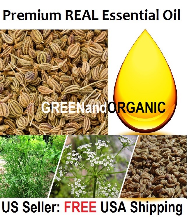 Virgin REAL AJOWAN ESSENTIAL OIL PURE Ajwain Carom Seed Caraway Cold