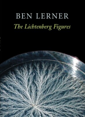 Lerner - Lichtenberg Figures - New paperback or softback - X555z