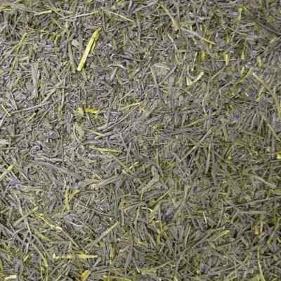 Grüner Tee BIO Japan Gyokuro Asahi (Perlentau ''Edle Tautropfen'') 100g - Grüntee
