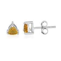 Cavill Ohrringe Damen Sterlingsilber Gelber Skapolith 0,39Ct Modern