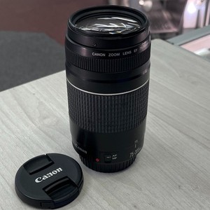 Canon EF 75-300mm Lens