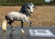 Breyer Anamar 2022 Premier Club Stallion