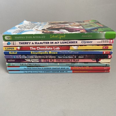 Lot of 9 Scholastic Books kids young chapter books paperback