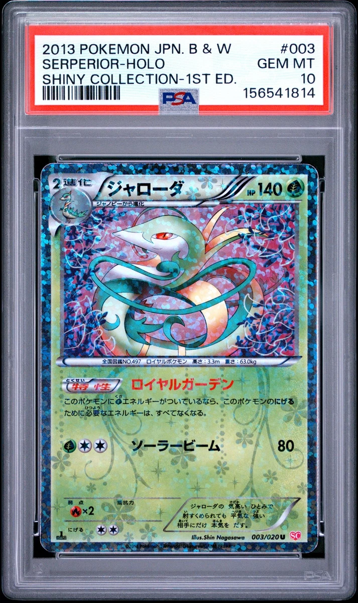 Pokémon TCG Professional Sports Authenticator (PSA) Black & White