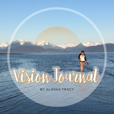 VISION JOURNAL: YOUR VISION MAPPING GUIDE By Tracy Roesch Williams **BRAND NEW**