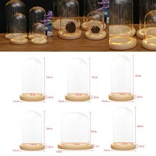 Clear Glass Display Dome with LED Wood Base Microlandscape Holder