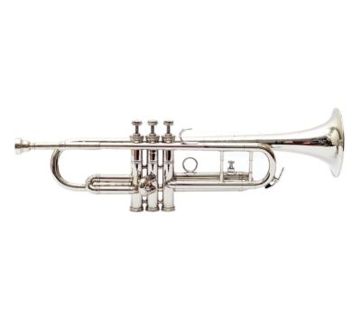 SMART DEAL!! TROMPETE OSWAL STUDENTEN Neu Silber Bb Trompete Mit Gratis Etui ...