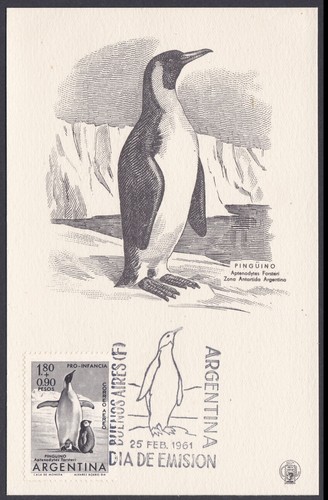 Argentina 1961 Tarjeta Postal Dia Emisión Michel 761 Pinguino - Emperor Penguin