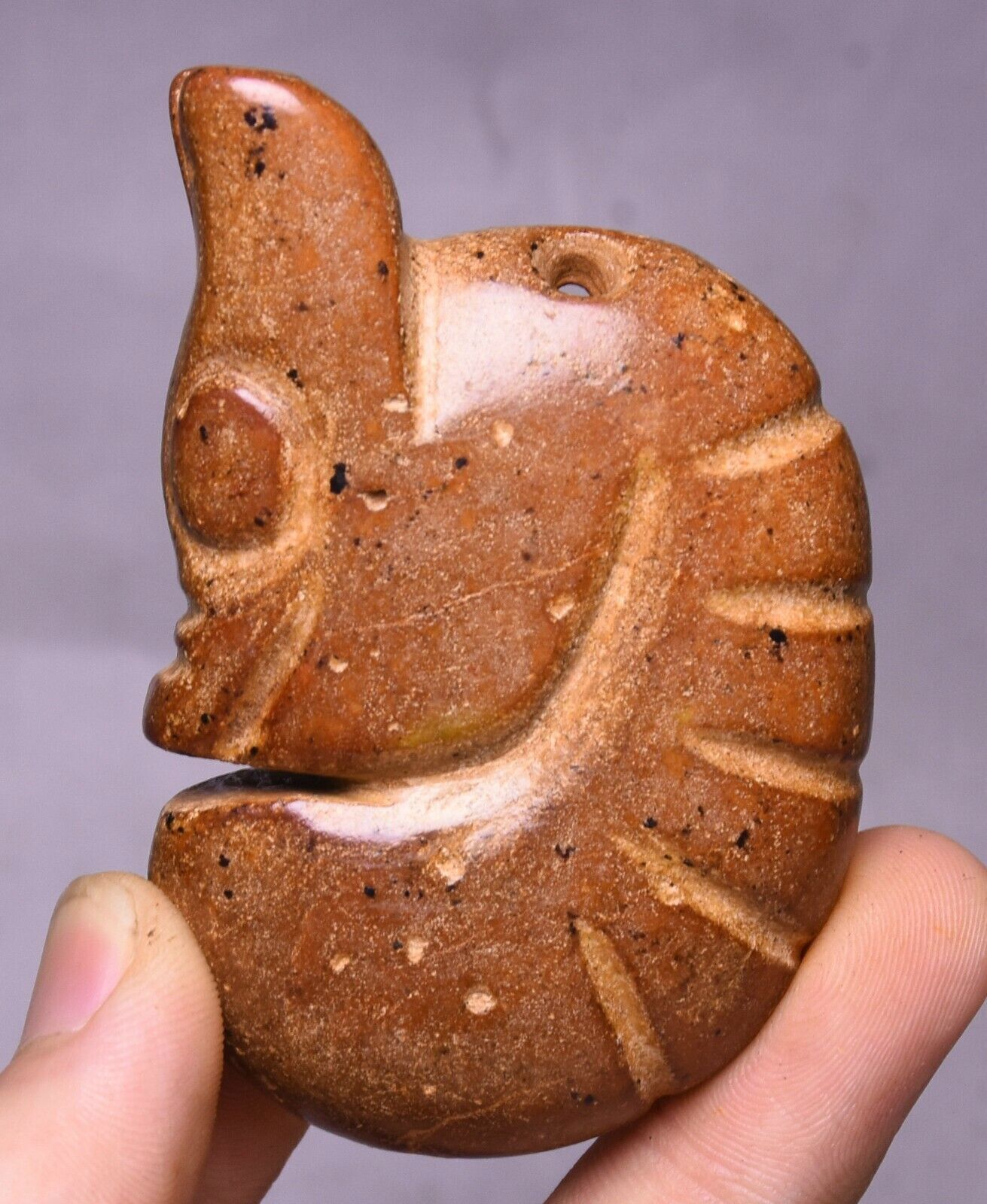 6.5CM Hongshan Culture Ancient Jade Carved Yu Pig Dragon Amulet Pendant